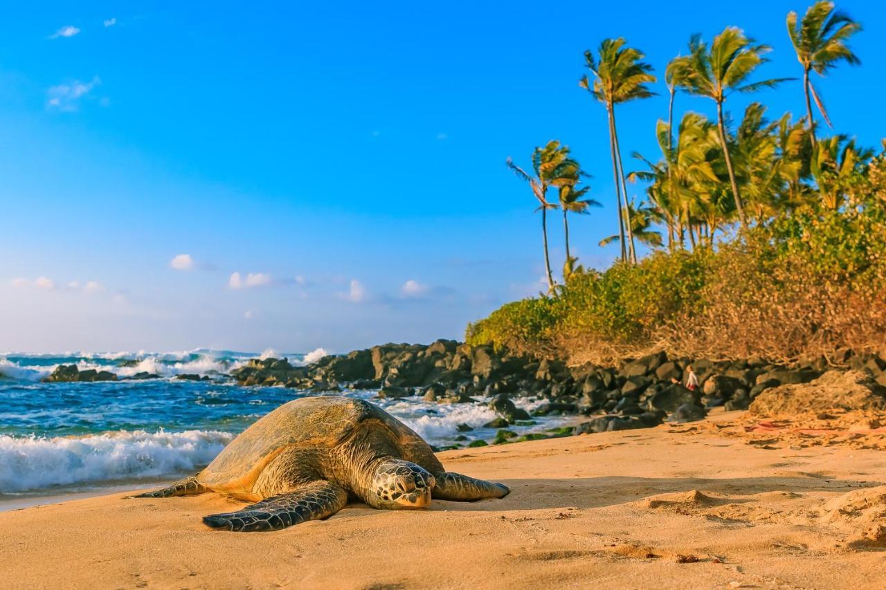 Hawaiian Monarch 2108 Condo Гонолулу Экстерьер фото